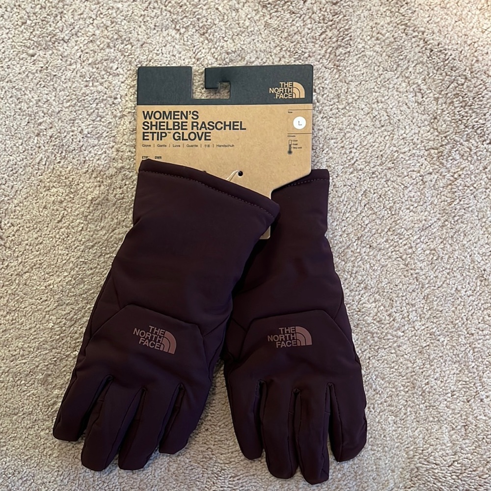 The North Face Women’s Shelbe Raschel Etip Glove
